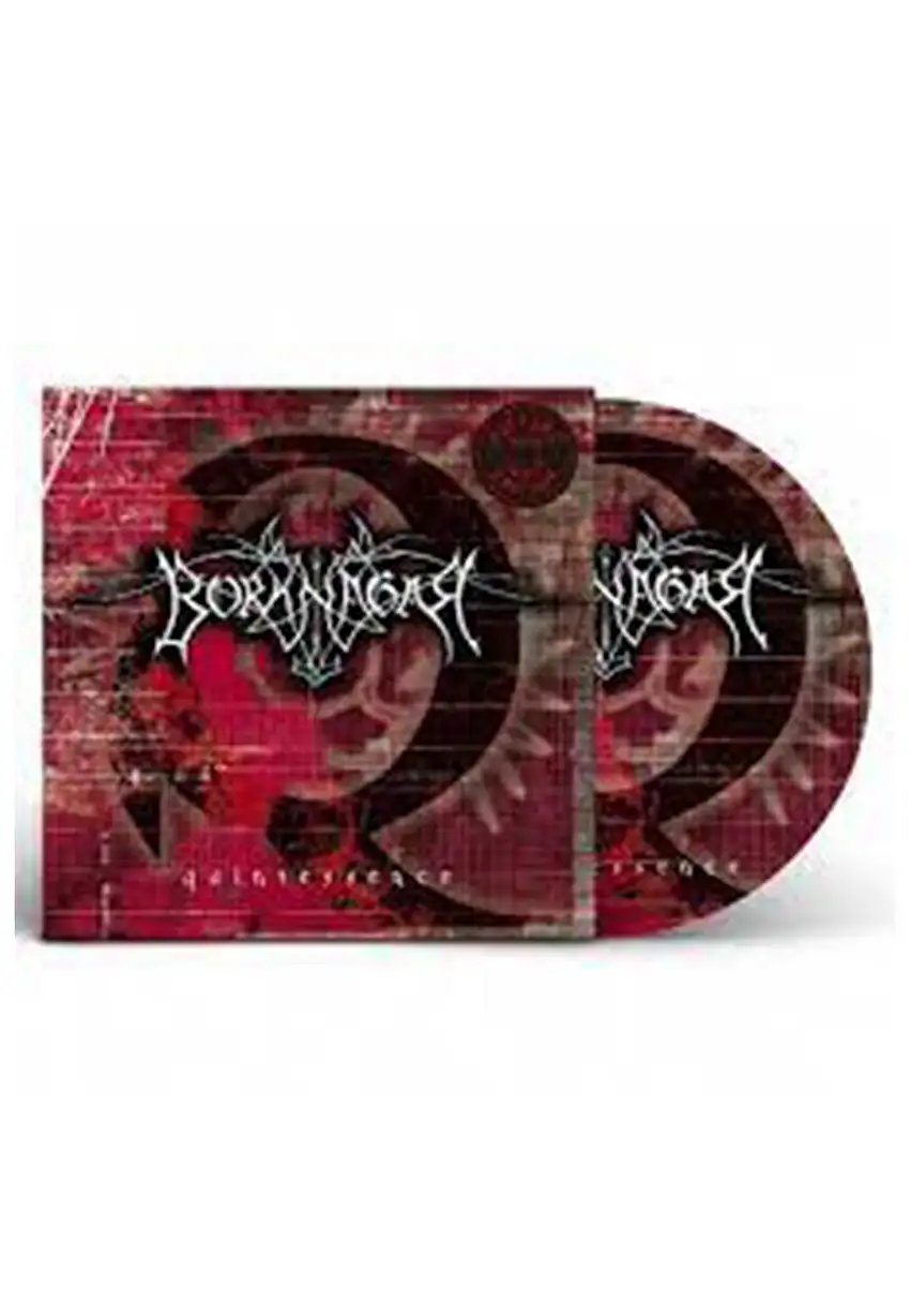 Borknagar - Quintessence Ltd. - Picture Vinyl