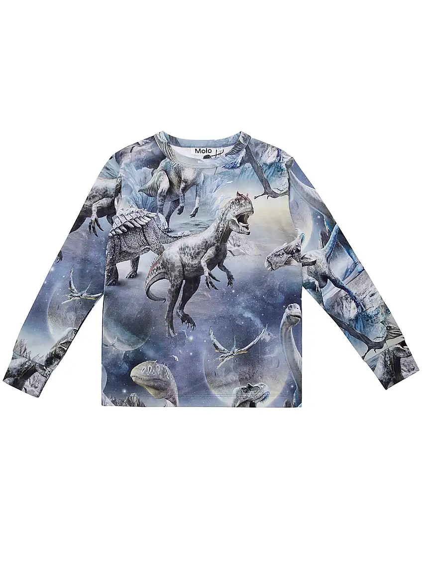 Rill T-shirt Long Sleeves 11287737