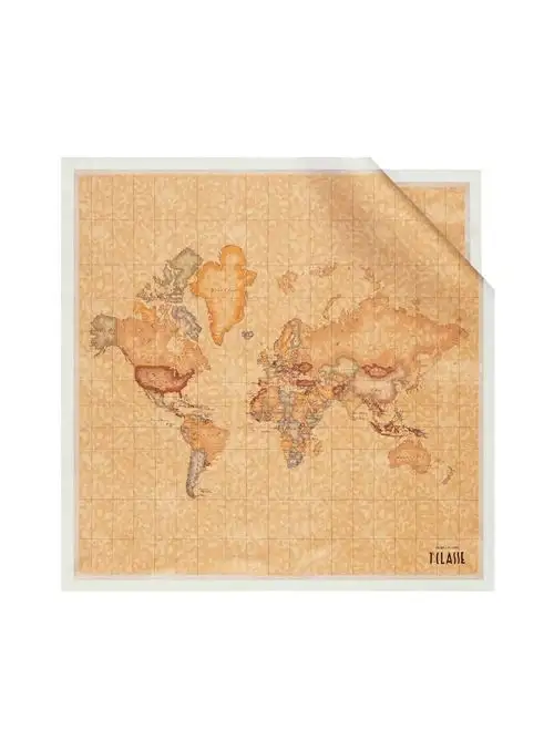 Alviero Martini 1ª CLASSE FOULARD 27041746